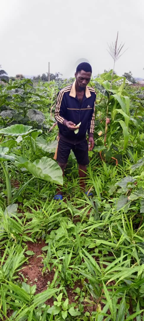 Anthony Dogara Dowson